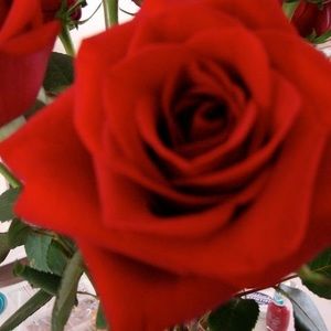 Meet your Posher, Kay